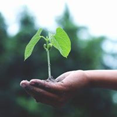 Urban Prairie Agriculture