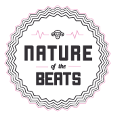 Nature of the Beats