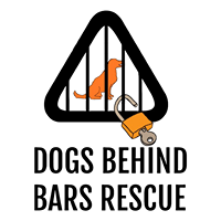 Dogs Behind Bars Rescue