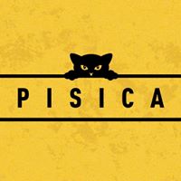 Pisica