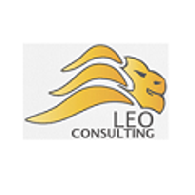 LEO Consulting