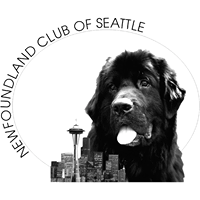 Newfoundland Club of Seattle (NCS)