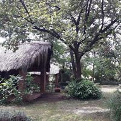 Barefoot Lodge and Safaris