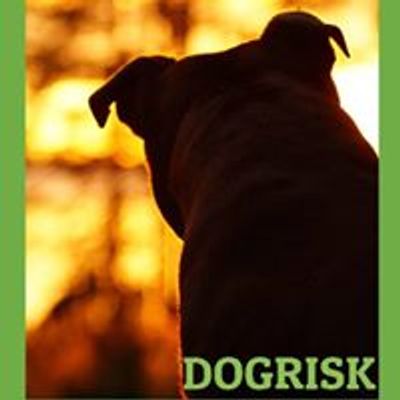 DogRisk