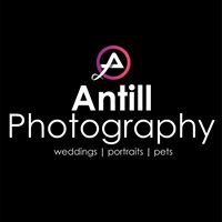 Antill Pet Photography