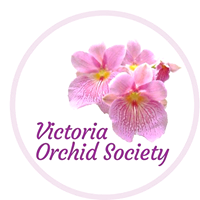 Victoria Orchid Society