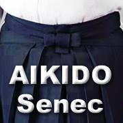 Aikido Senec