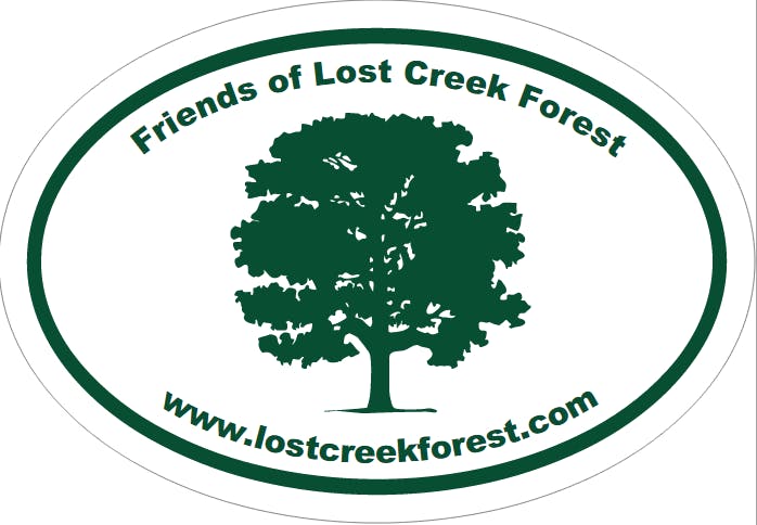 Lost Creek Forest Tours and Events