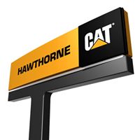 Hawthorne Cat