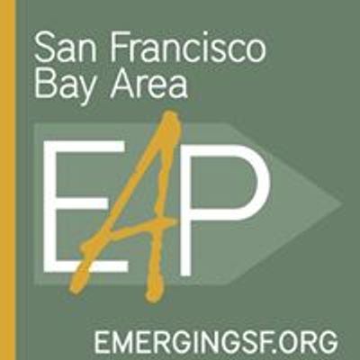 Emerging Arts Professionals - SFBA