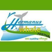 Hermanus Whale Festival