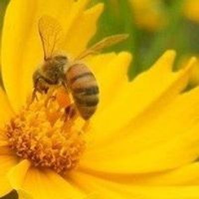 Midwestern Beekeeper's Association