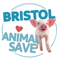 Bristol Animal Save