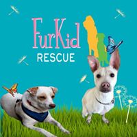 FurKid Rescue