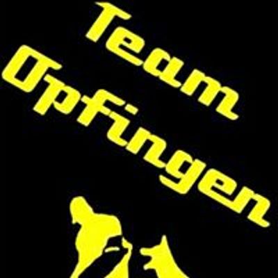 SV OG Opfingen