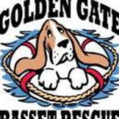 Golden Gate Basset Rescue