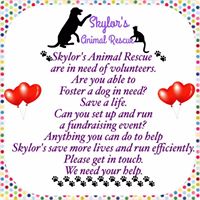 Skylor's Animal Rescue North Wales, U.K.