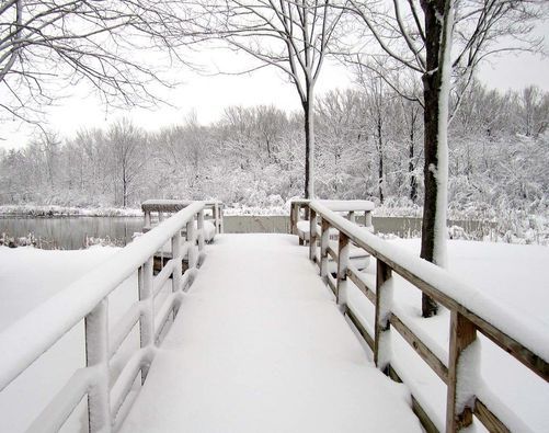 Birdsong Nature Preserve