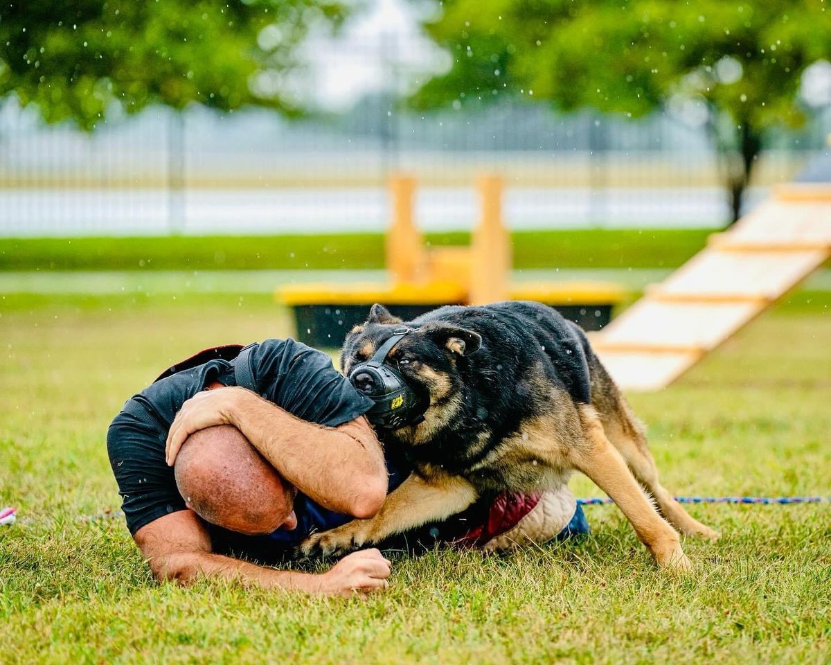 The Iron Canine WDA Trial