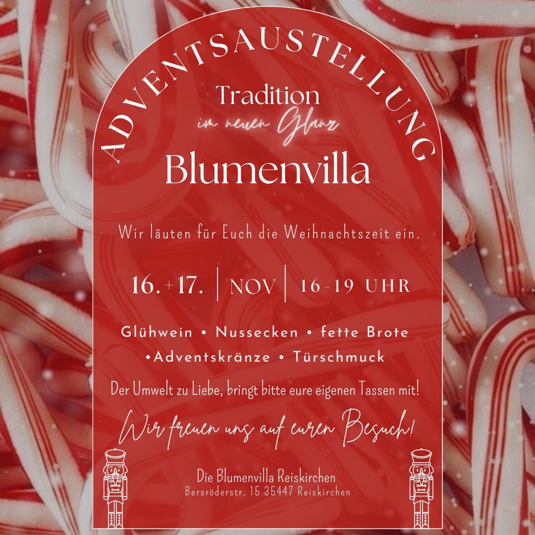 Adventsausstellung der Blumenvilla - Tradition im neuen Glanz\u2728\u2764\ufe0f