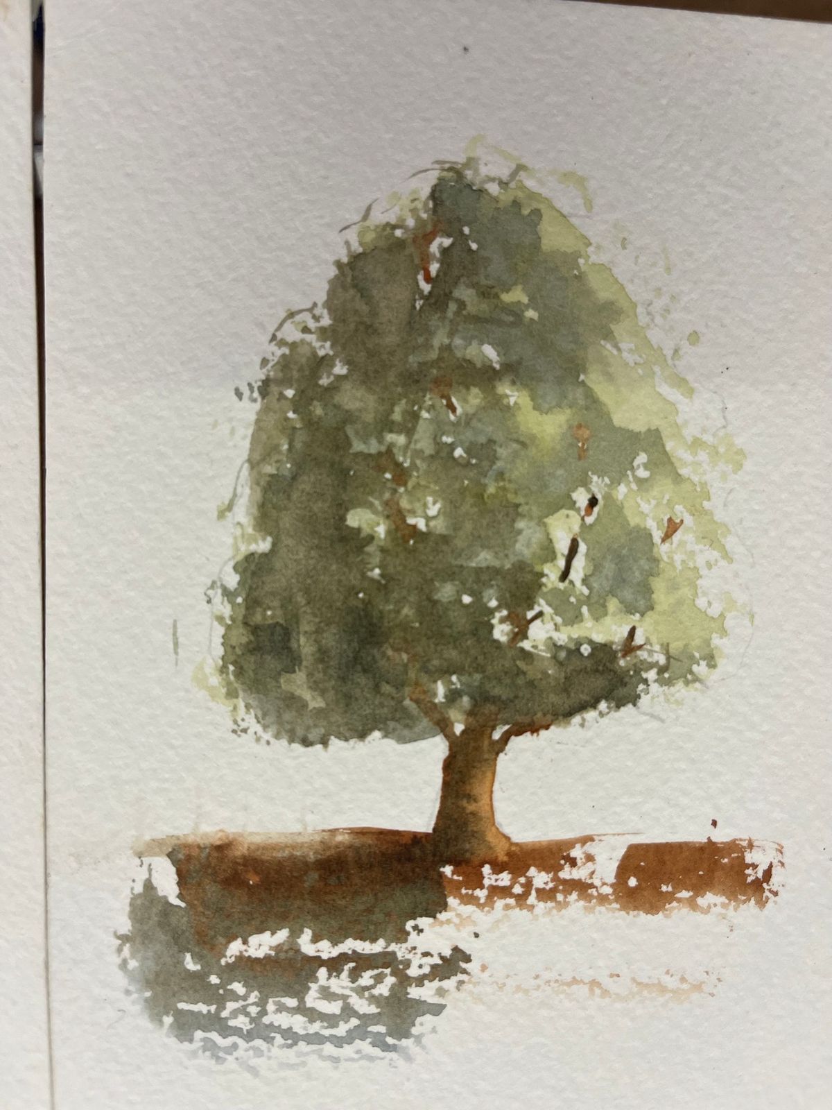 Beginners Watercolour Class