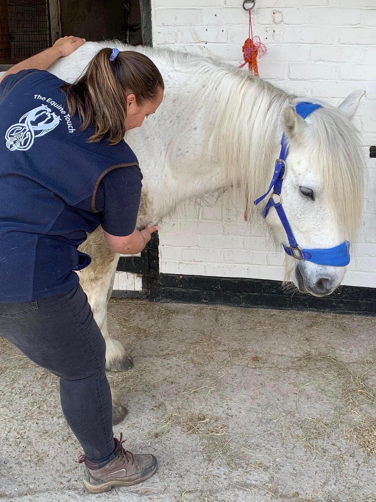 *SPACES AVAILABLE* Equine Touch INTERMEDIATE 3 Day Course