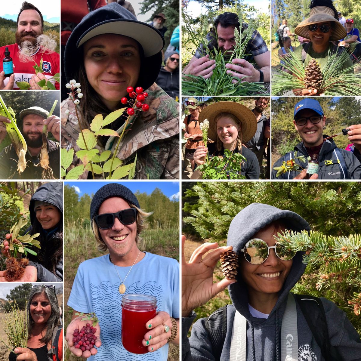 Edible & Medicinal Plants of the Uinta Mountains: Herb Walk