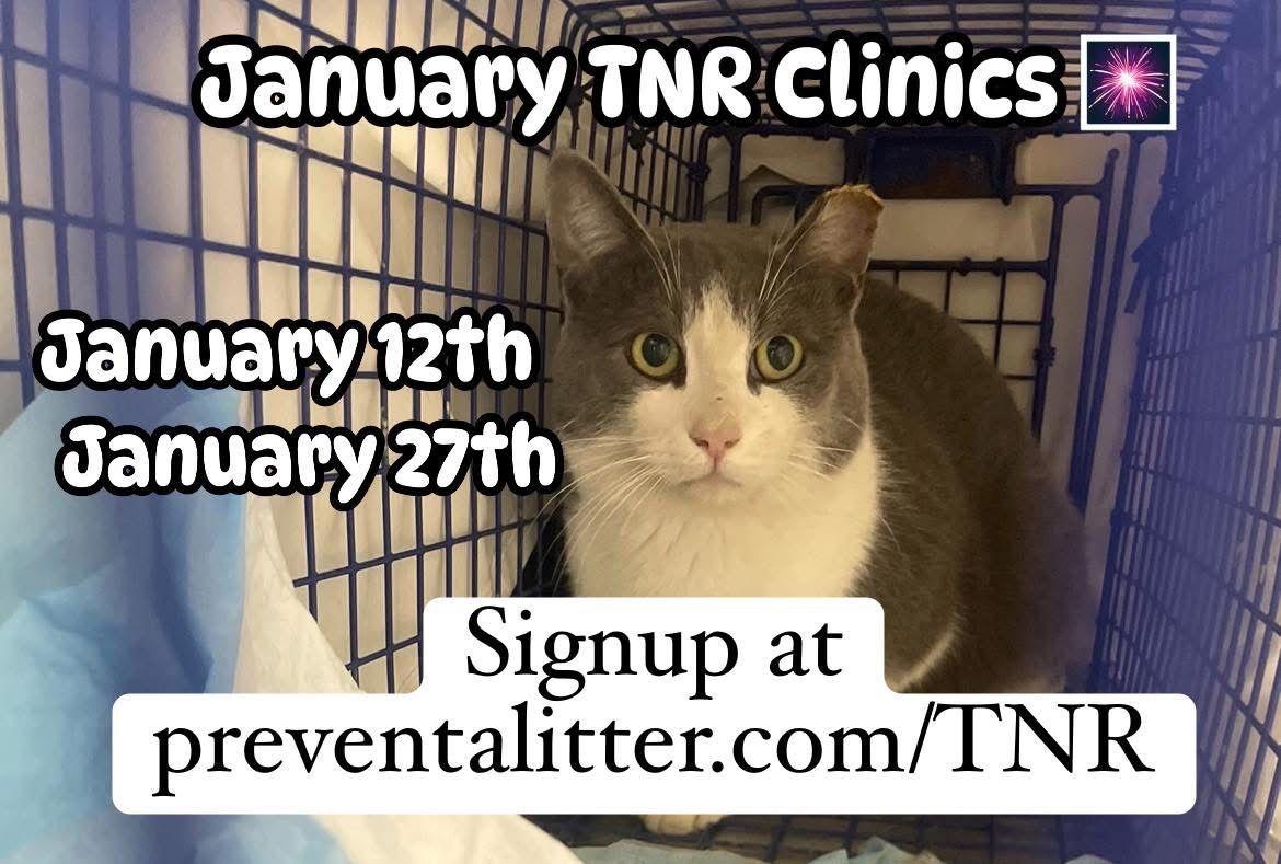 PALS January 12th TNR Clinic!