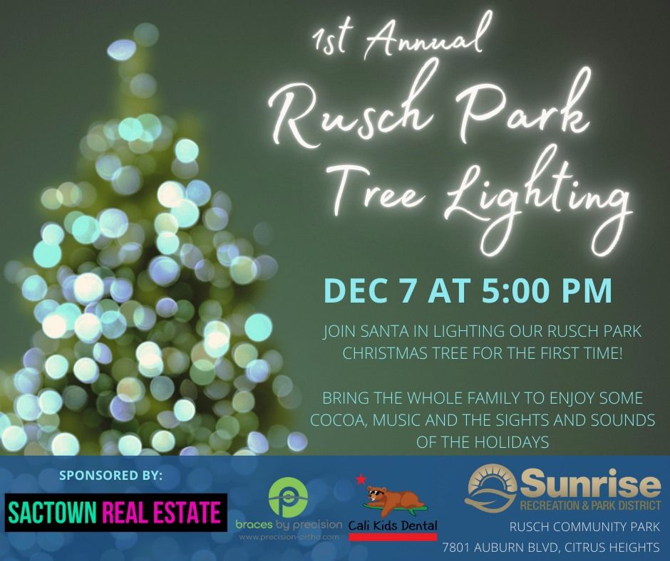 1st Annual Rusch Park Tree Lighting