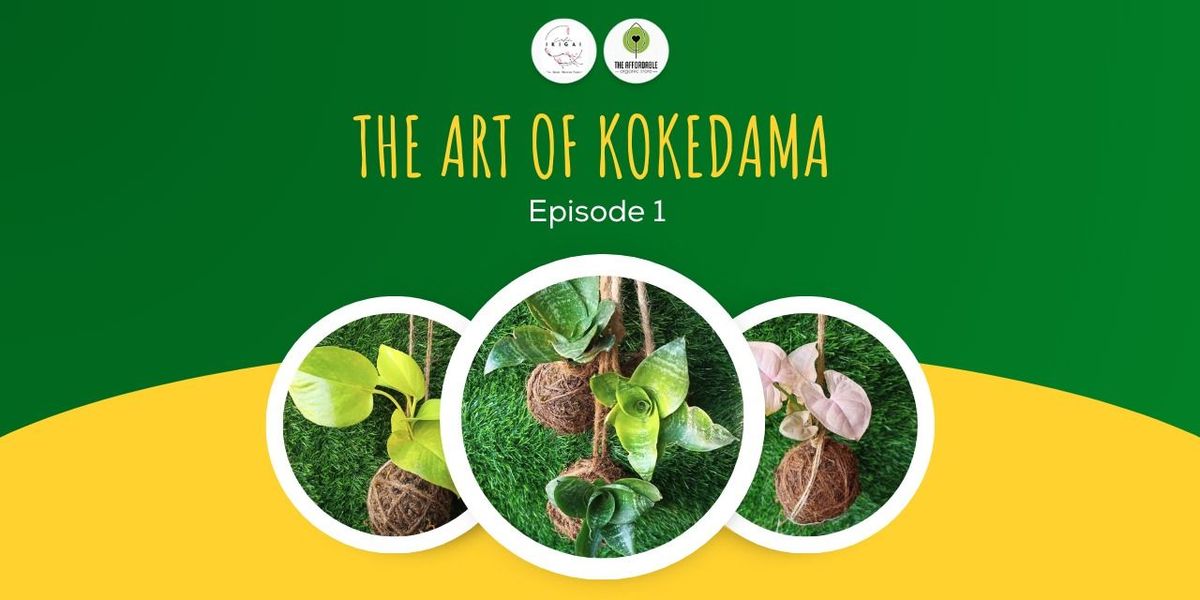 The Art of Kokedama