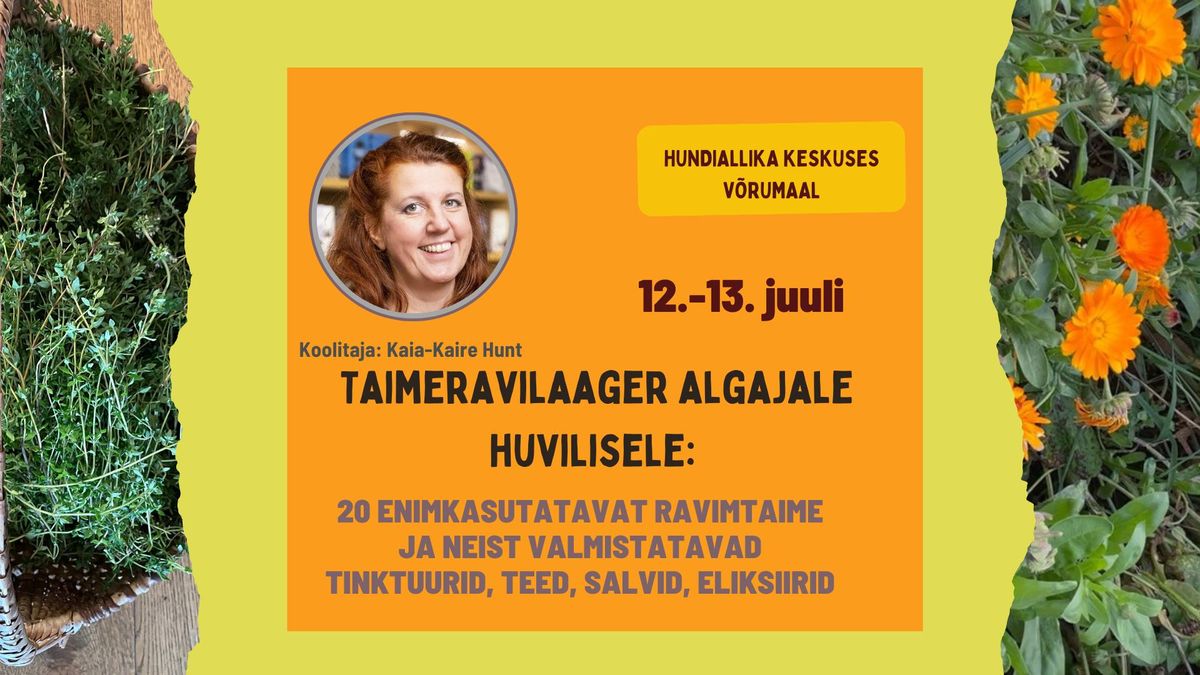 Taimeravilaager algajale huvilisele: 20 ravimtaime ja neist tinktuuride, salvide jms valmistamine