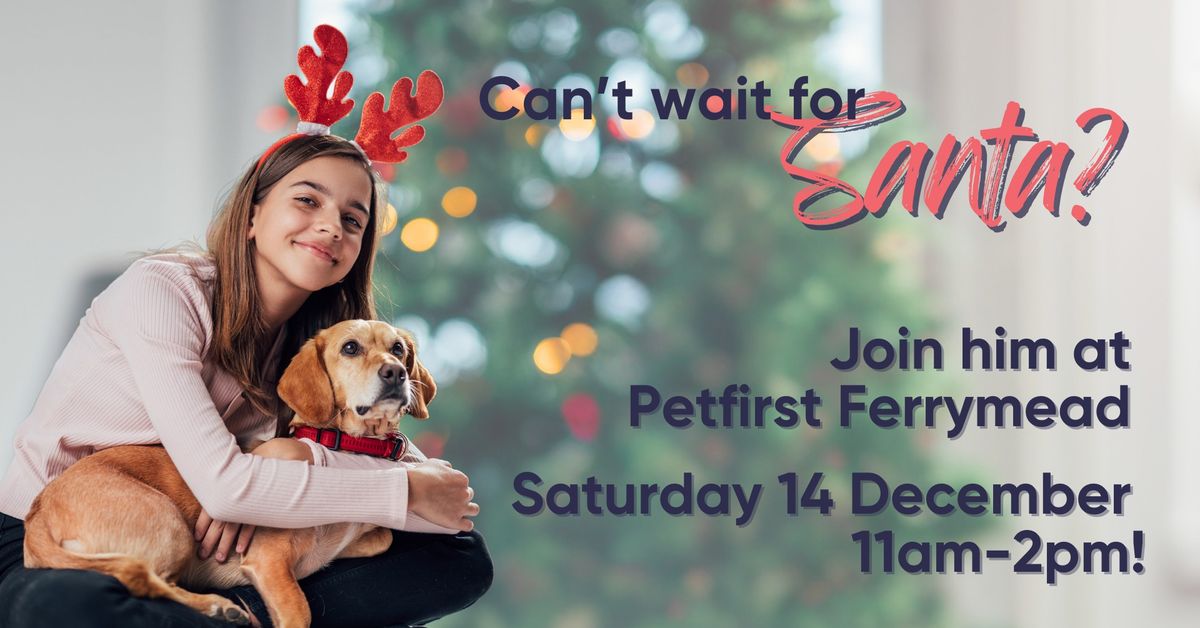 Christmas fun at Petfirst Ferrymead