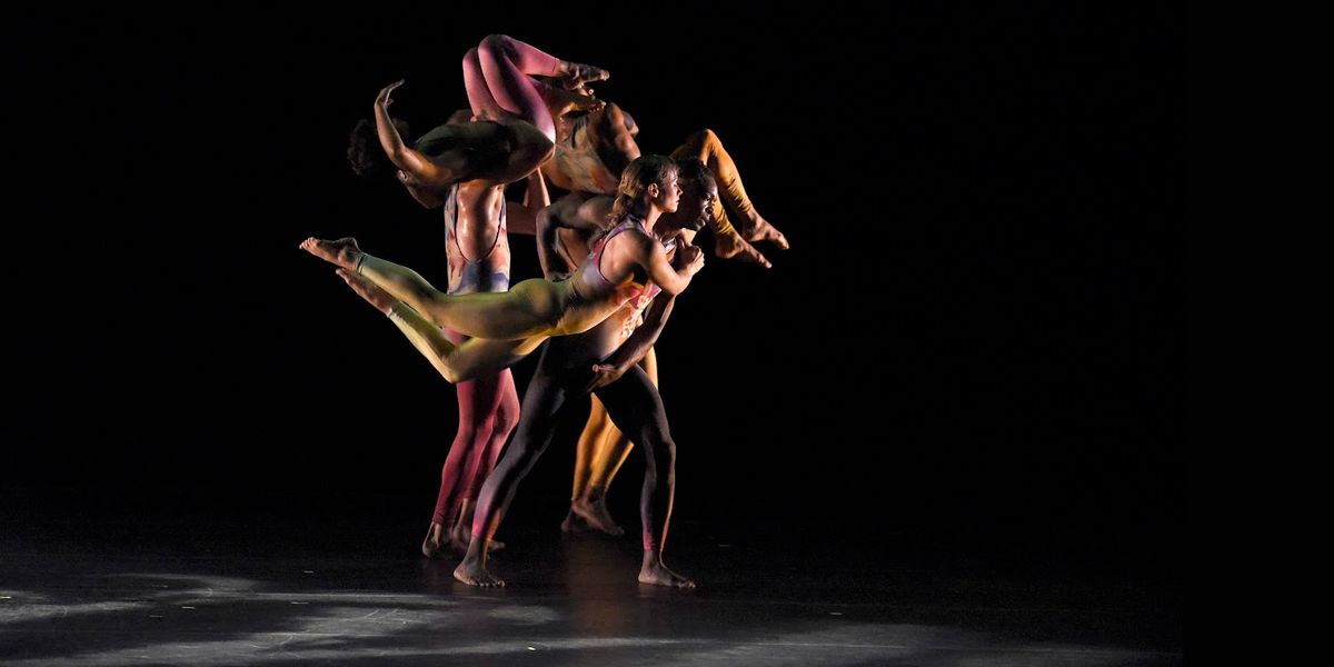 Pilobolus re: CREATION