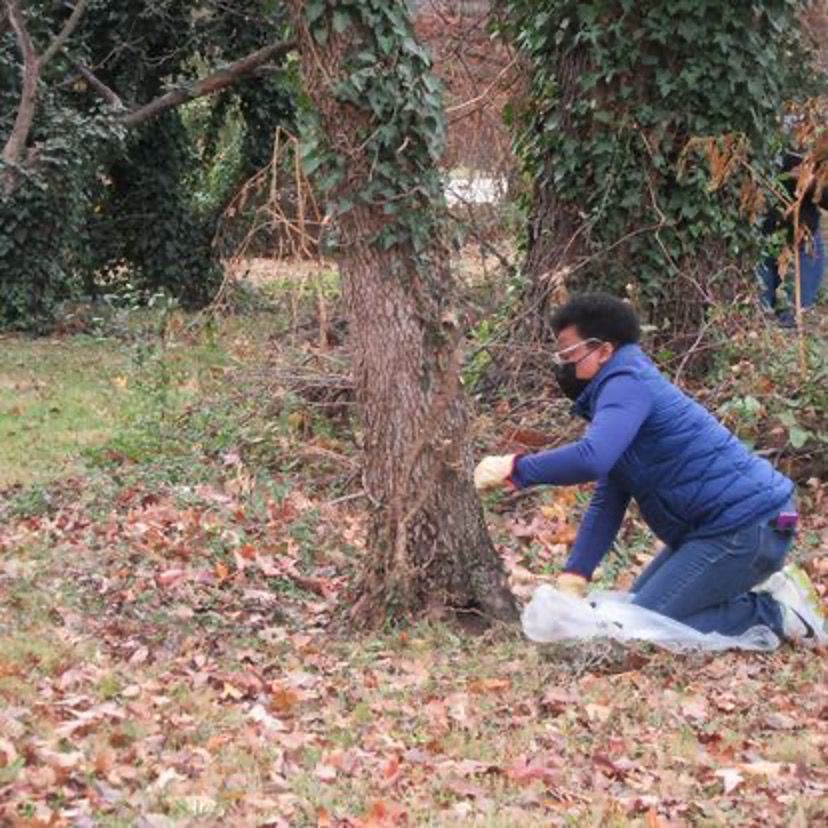 Help Control Invasive Plants