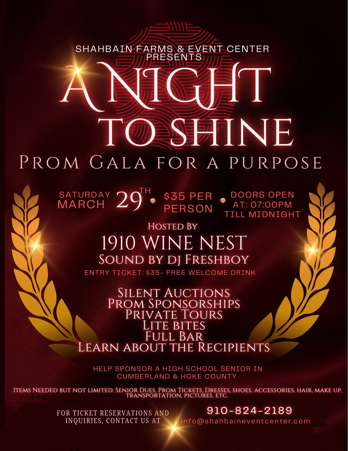 A Night to Shine: Prom Gala for a Purpose 