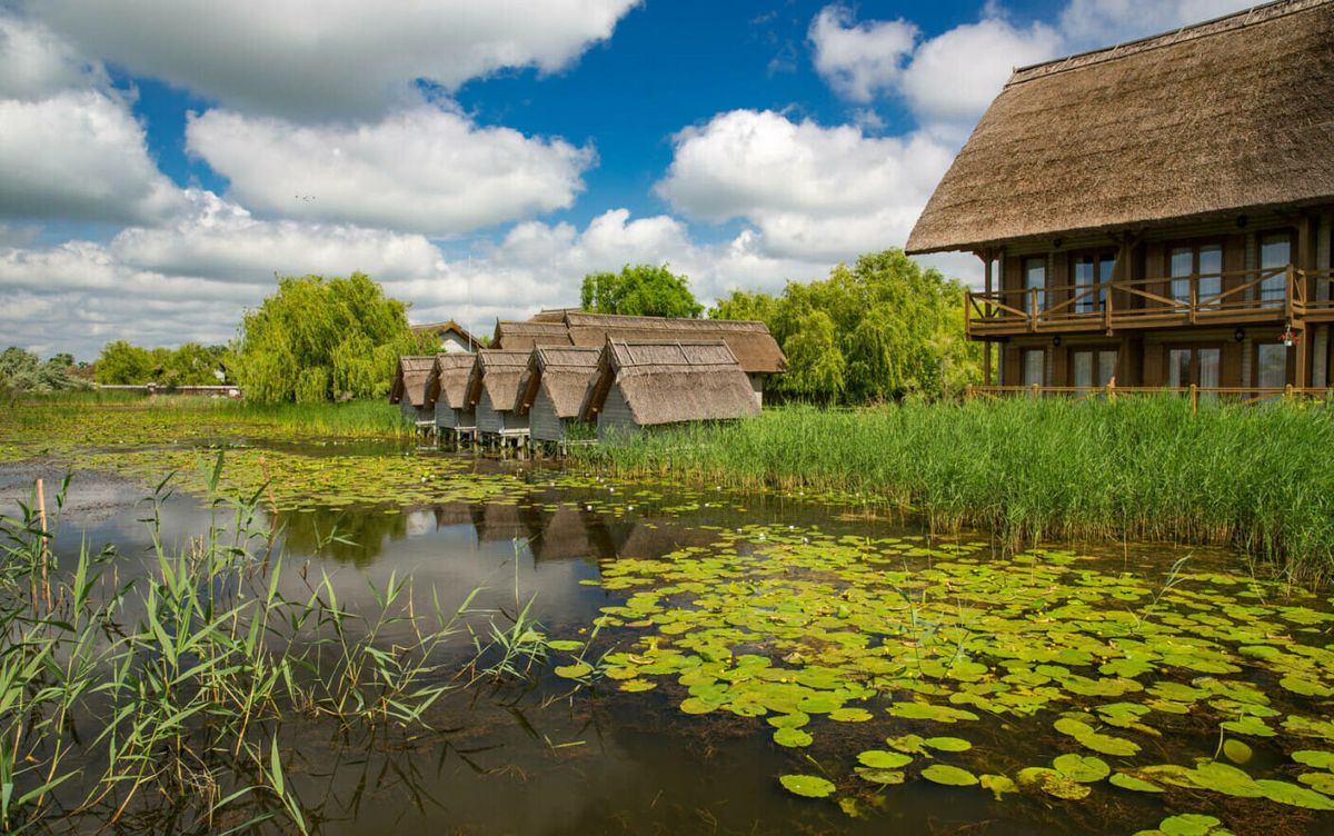 EXCURSIE DELTA DUNARII -HOTEL CU PISCINA