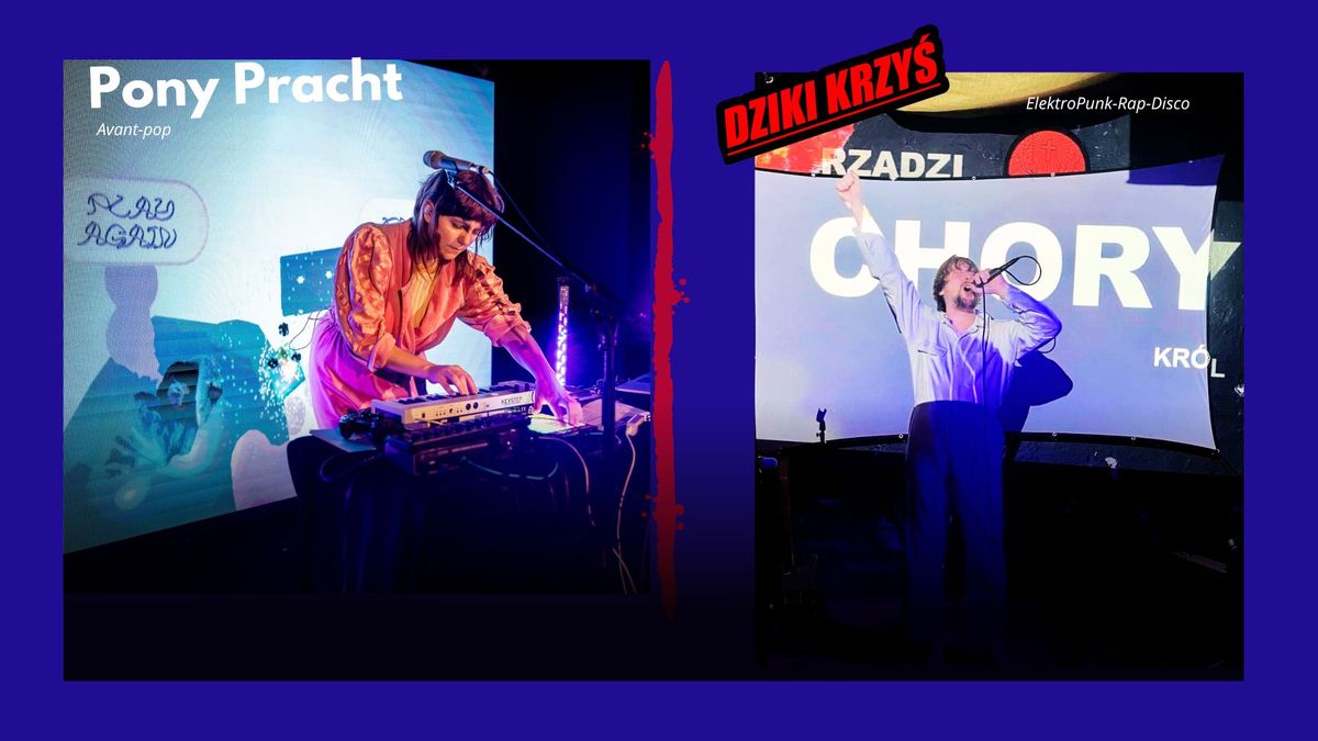 PONY PRACHT (avant-pop, DE) | DZIKI KRZY\u015a (elektropunk-rap-disco))