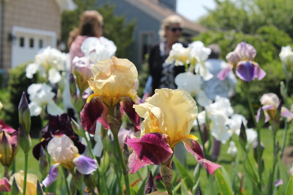The Gardens of Cape May Tour