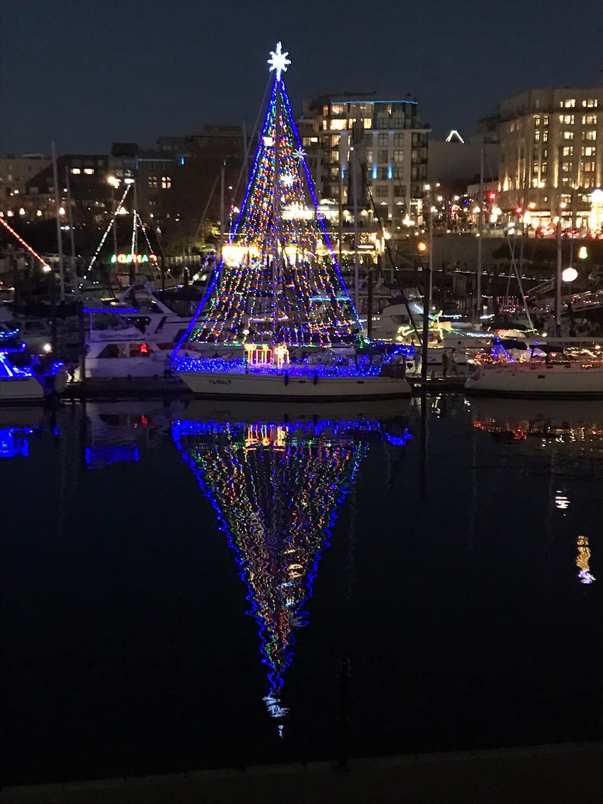 Sidney Lighted Ships Sailpast