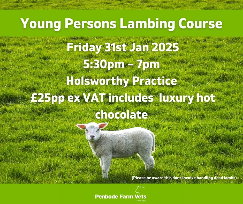 Young Persons Lambing Course