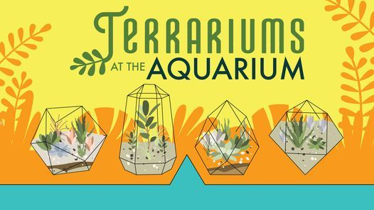 Terrariums at the Aquarium