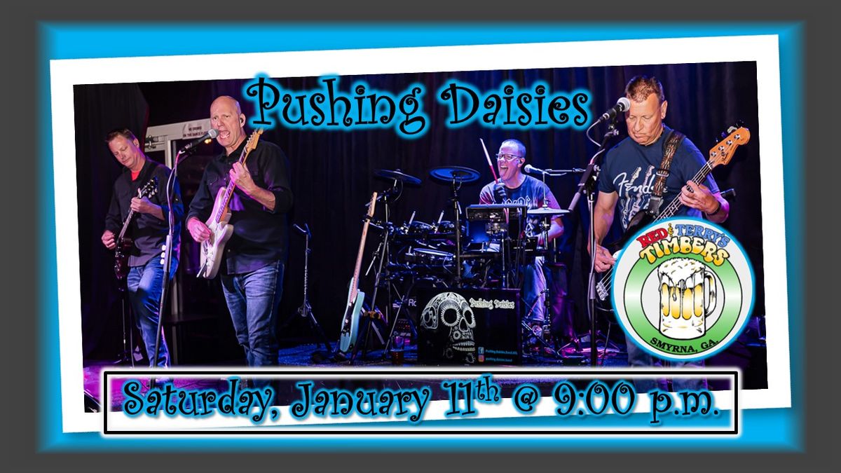 Pushing Daisies LIVE at Timbers (Smyrna)