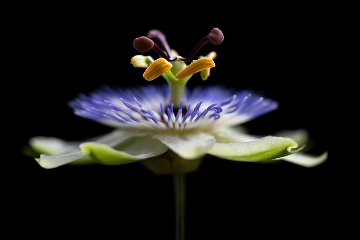 Whispers in a Crowded Room by Buck Christensen