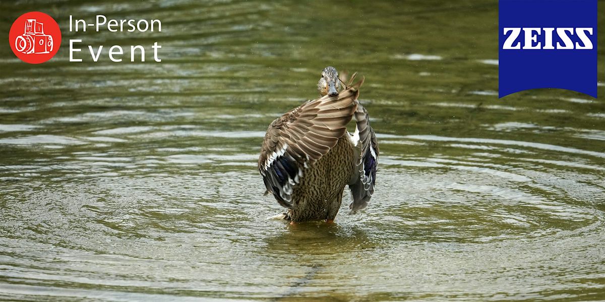 Birding Workshop: Seeing the World with Wonder