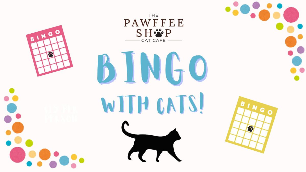 Bingo With Cats!