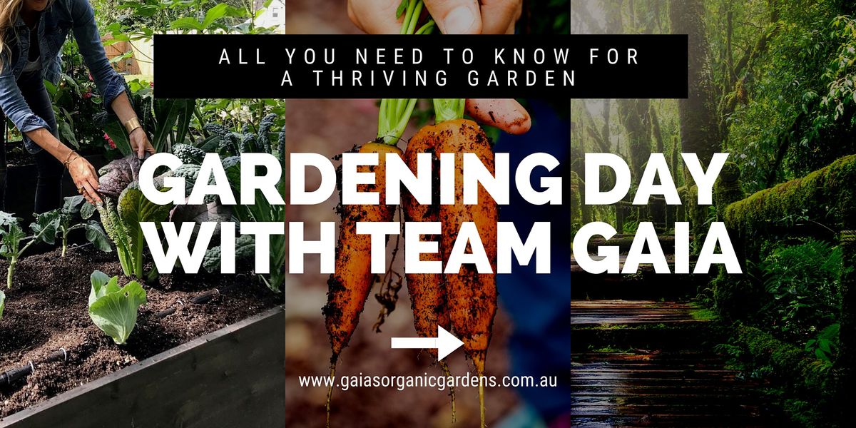 Gardening Day with Team Gaia June 2021