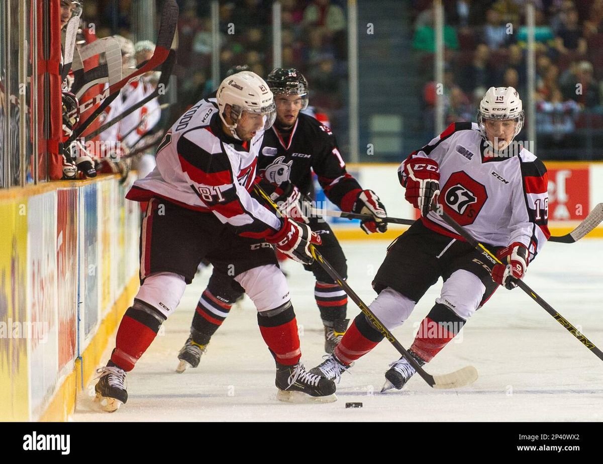 Niagara IceDogs at Ottawa 67s