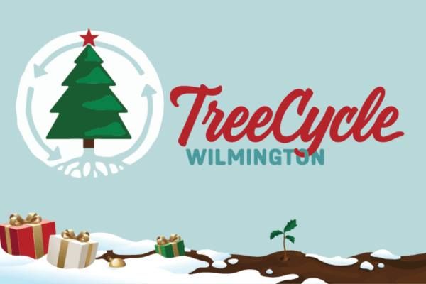 Recycle your Christmas Tree for FREE