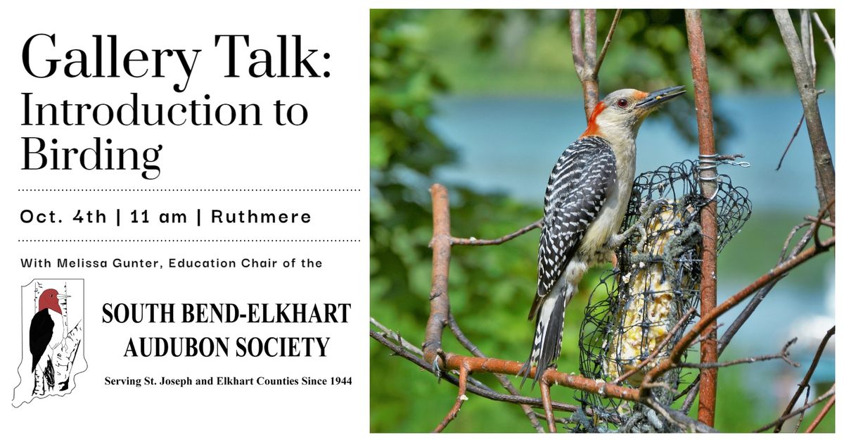 Gallery Talk - Introduction to Birding