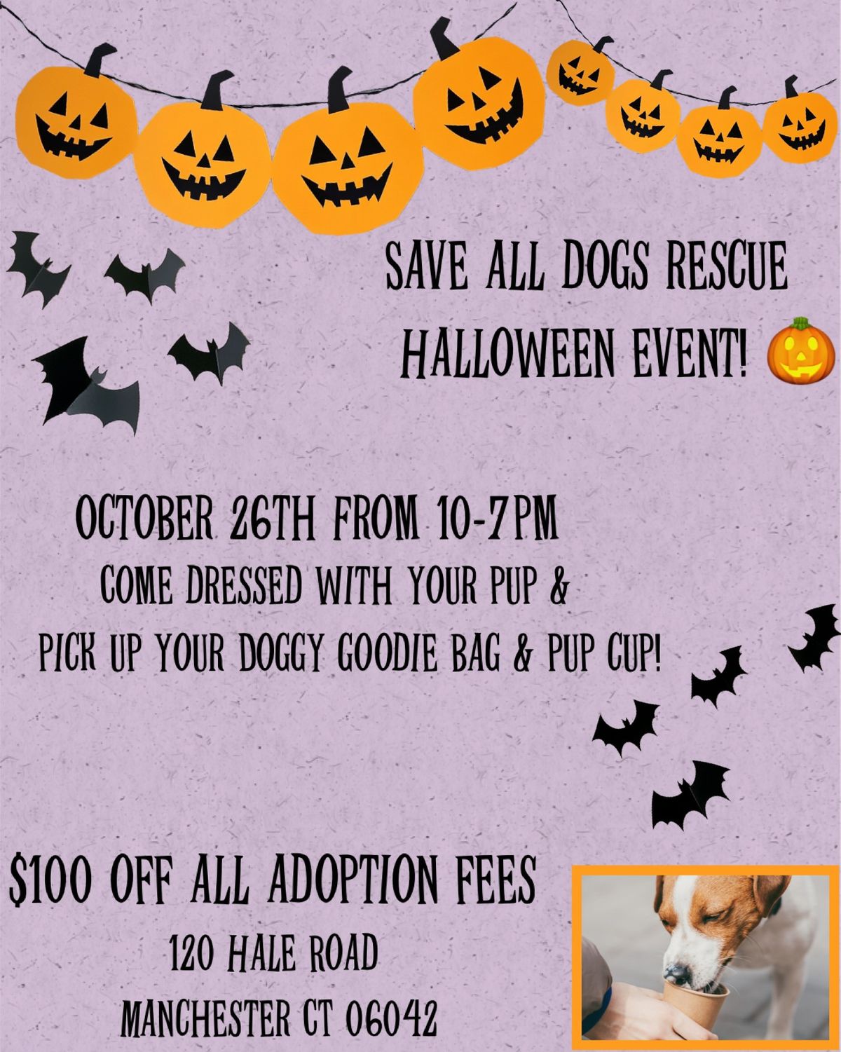 Free Pup Cups & Goodie bags